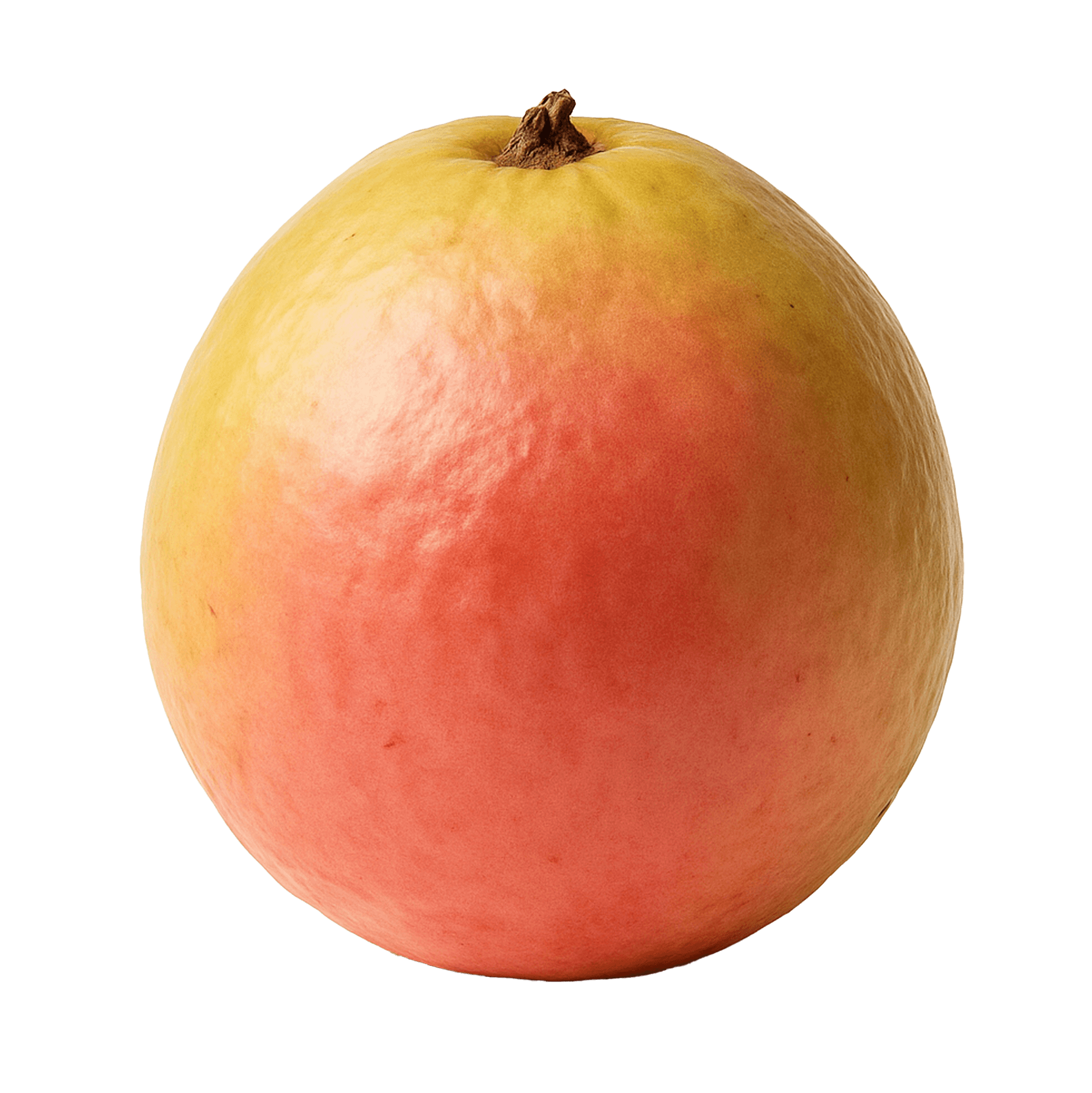 Guava