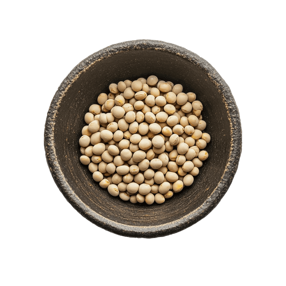Dry soybean