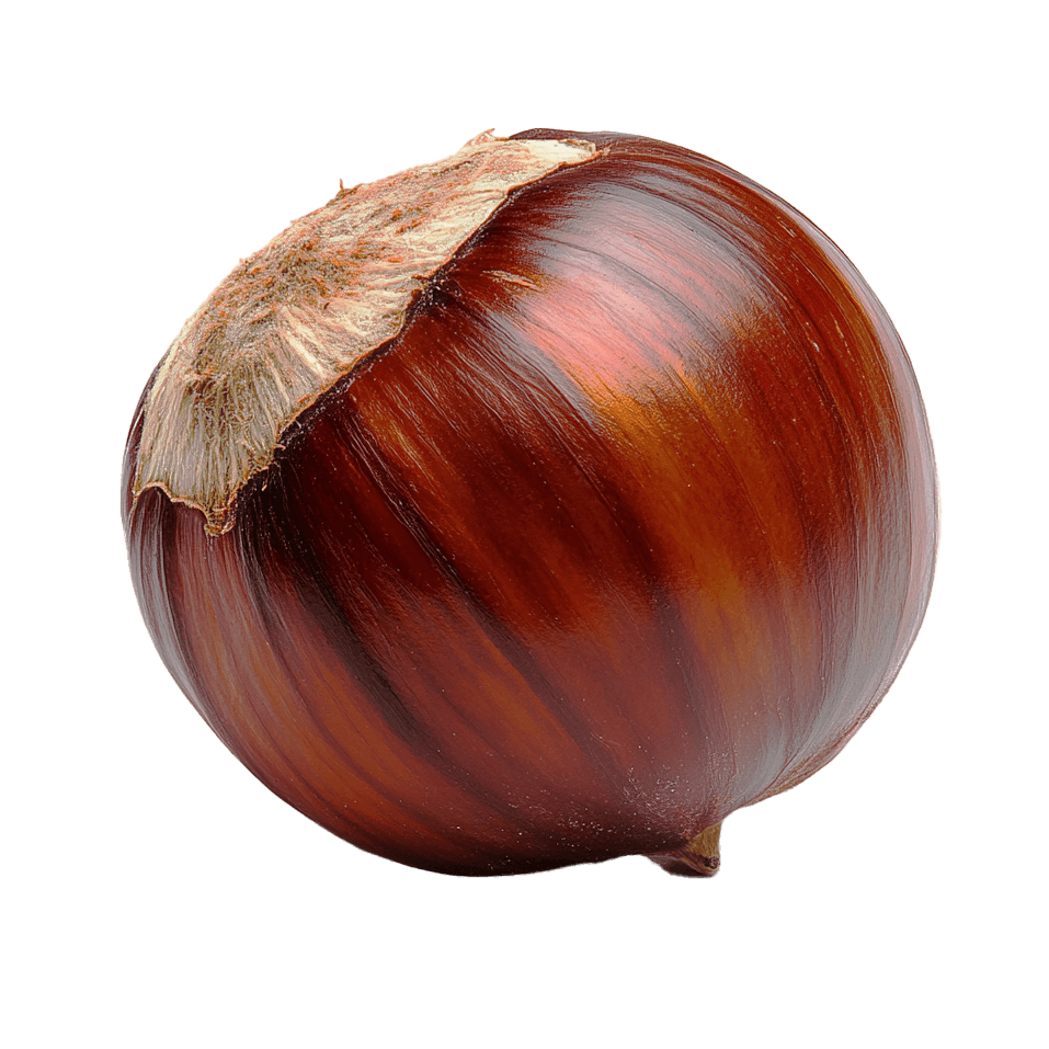 Chestnut