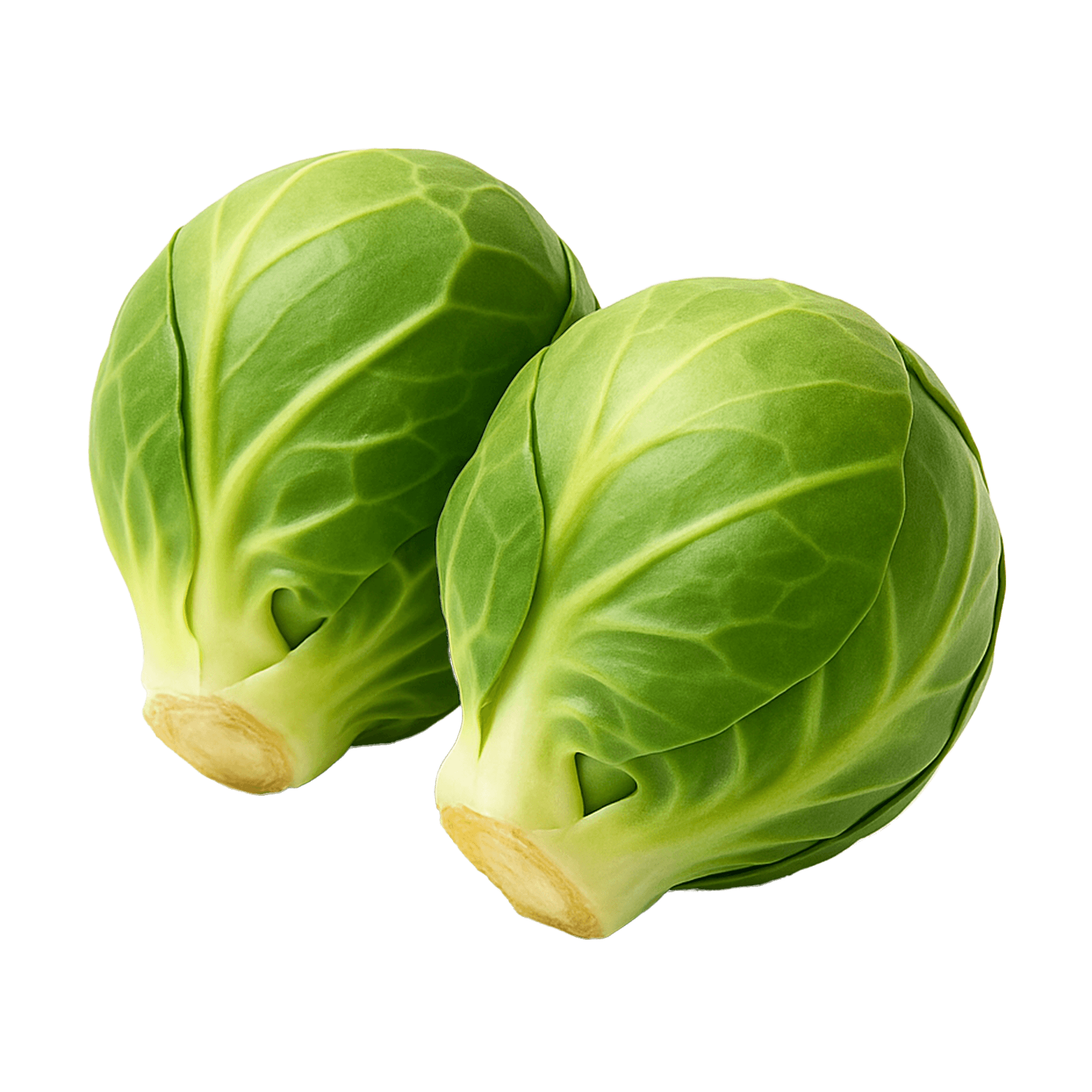 Brussel sprout