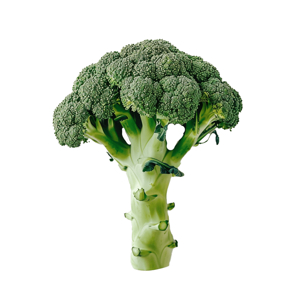 Broccoli