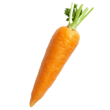 Youpi another insight -🥕 are not great for 🐇