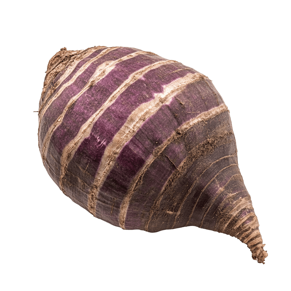 Taro